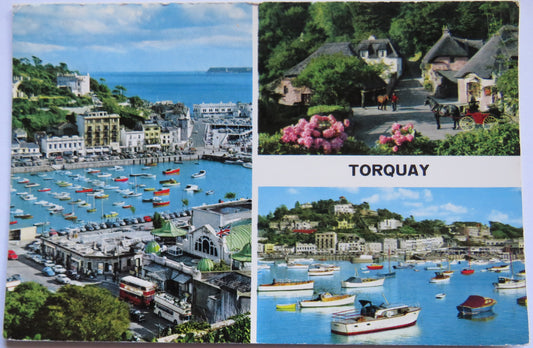 Vintage Multiview Postcard of Torquay
