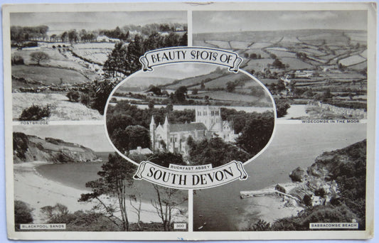 Vintage Multiview Postcard of Beauty Spots of South Devon, 1954