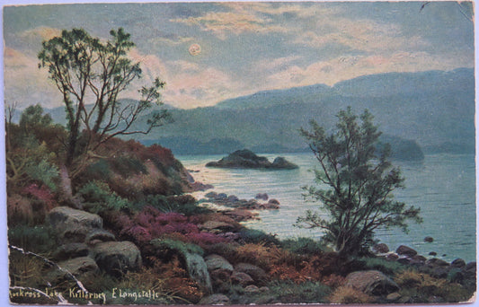 Vintage Postcard of Muckross Lake, Killarney E Longstaffe