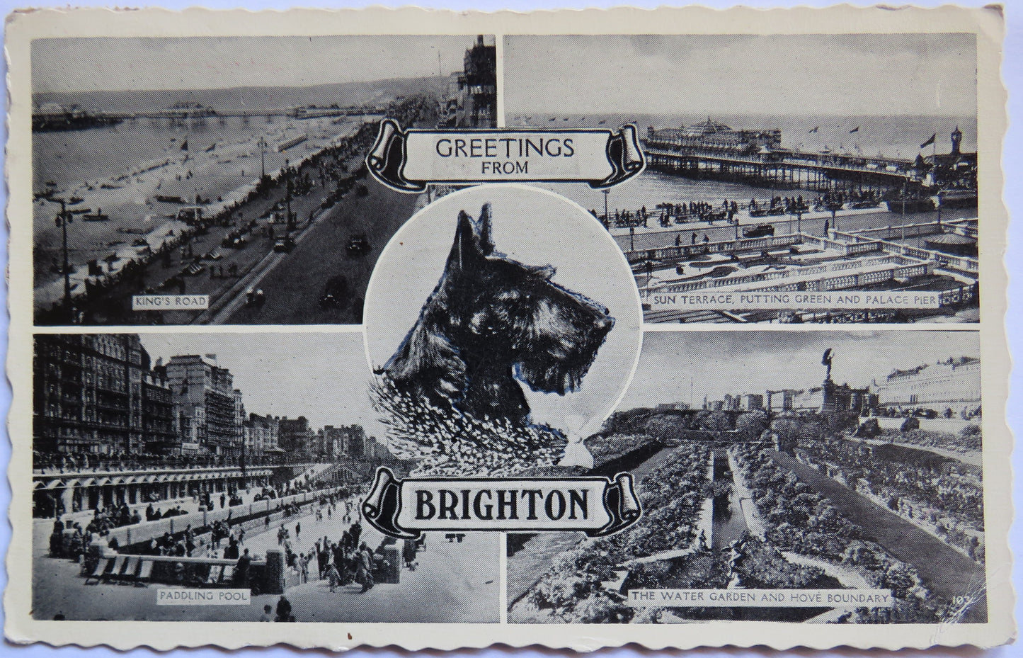 Vintage Multiview Postcard of Greetings from Brighton, 1958