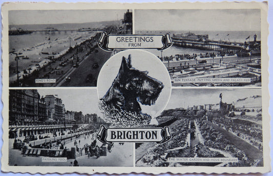 Vintage Multiview Postcard of Greetings from Brighton, 1958