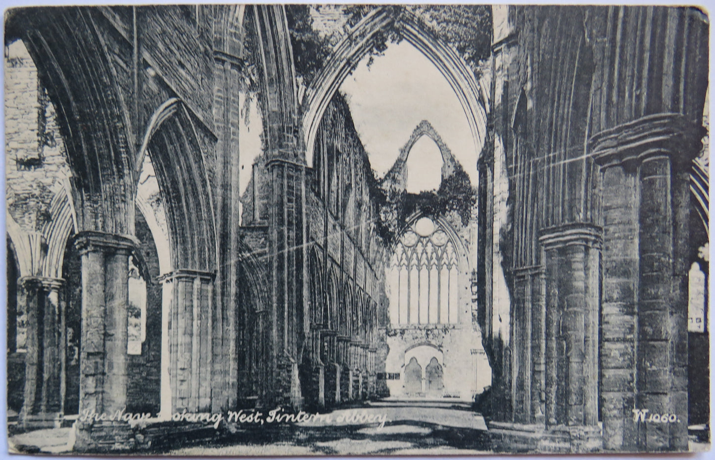 Vintage Postcard of The Nave, Tintern Abbey, 1905