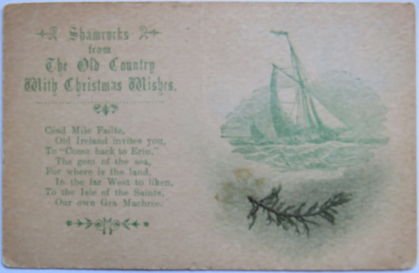 Vintage Postcard of Shamrocks from The Old Country With Christmas Wishes
