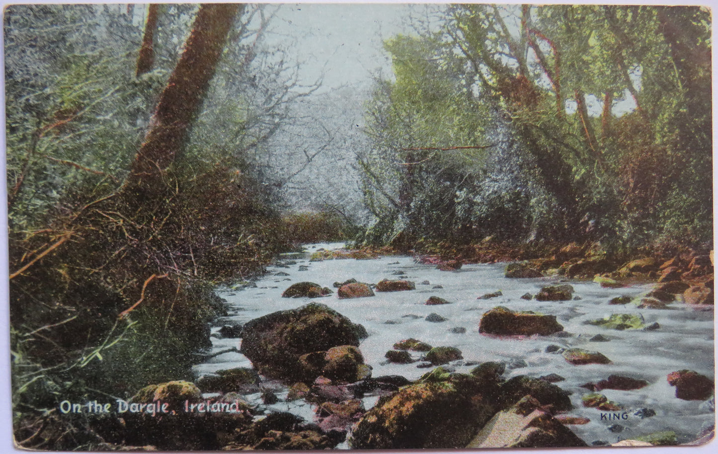 Vintage Postcard of on the Dargle, Ireland
