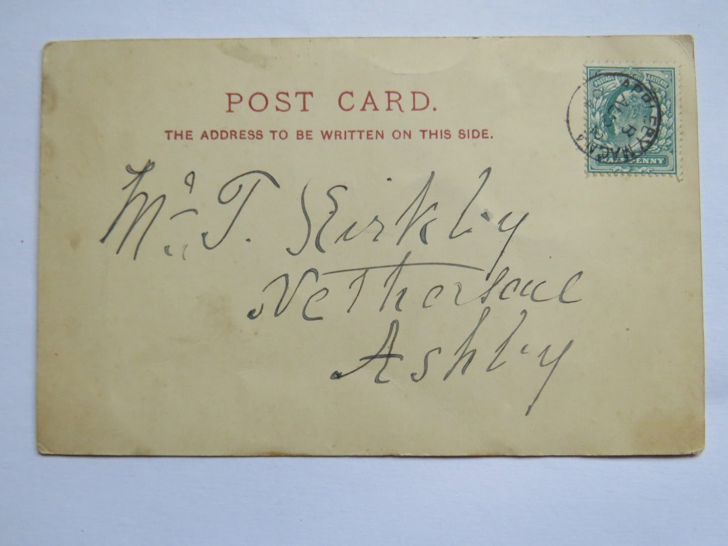 Vintage Comical Postcard "I'm Afraid You'll Be Disappointed"