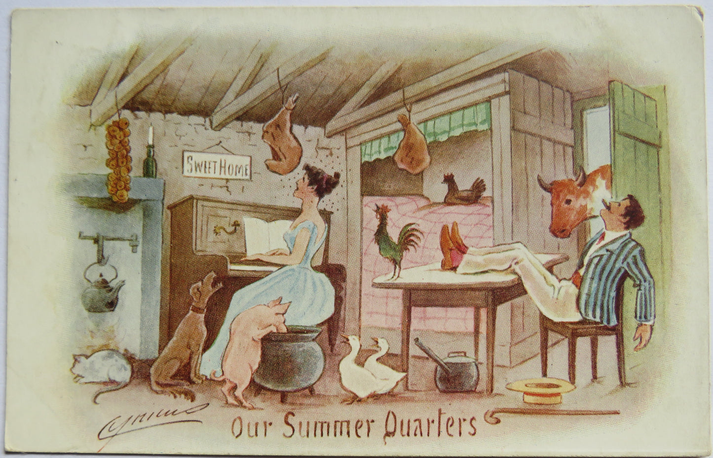 Vintage Comical Postcard "Our Summer Quarters" 1904