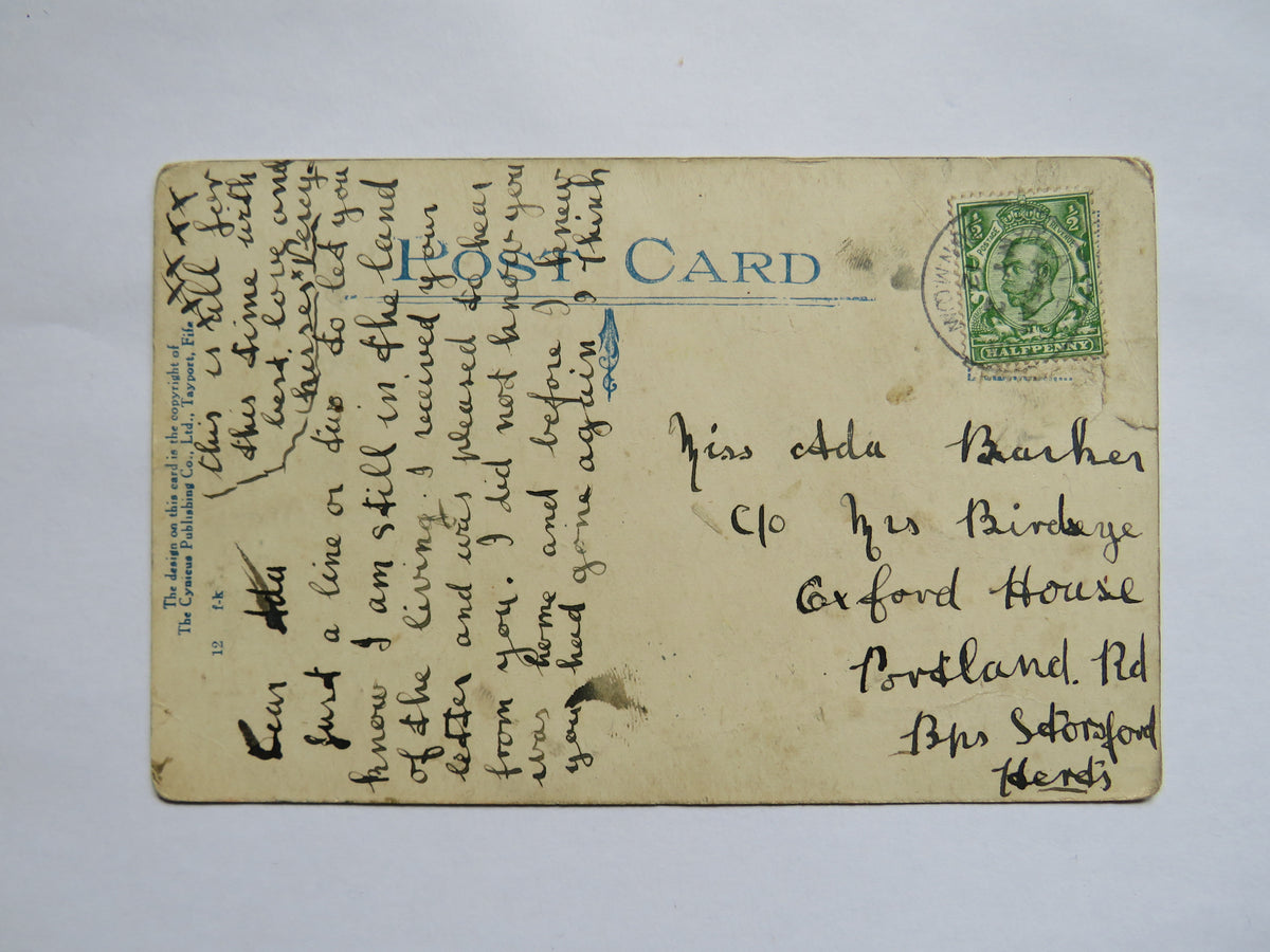 Vintage Postcard of "After the Honeymoon"