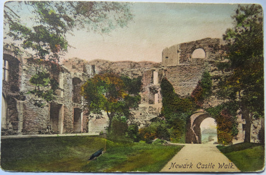 Vintage Postcard of Newark Castle Walk