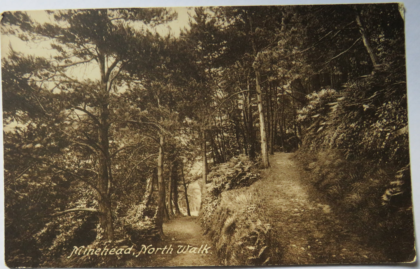 Vintage Postcard of Minehead, North Walk