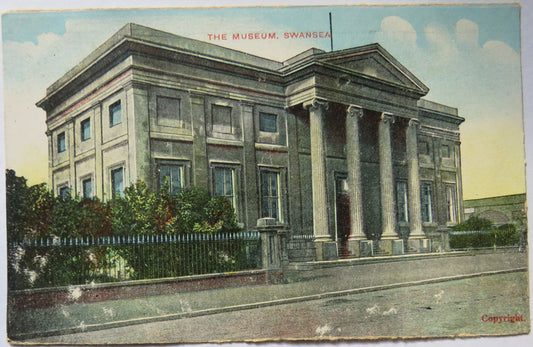 Vintage Postcard of The Museum, Swansea