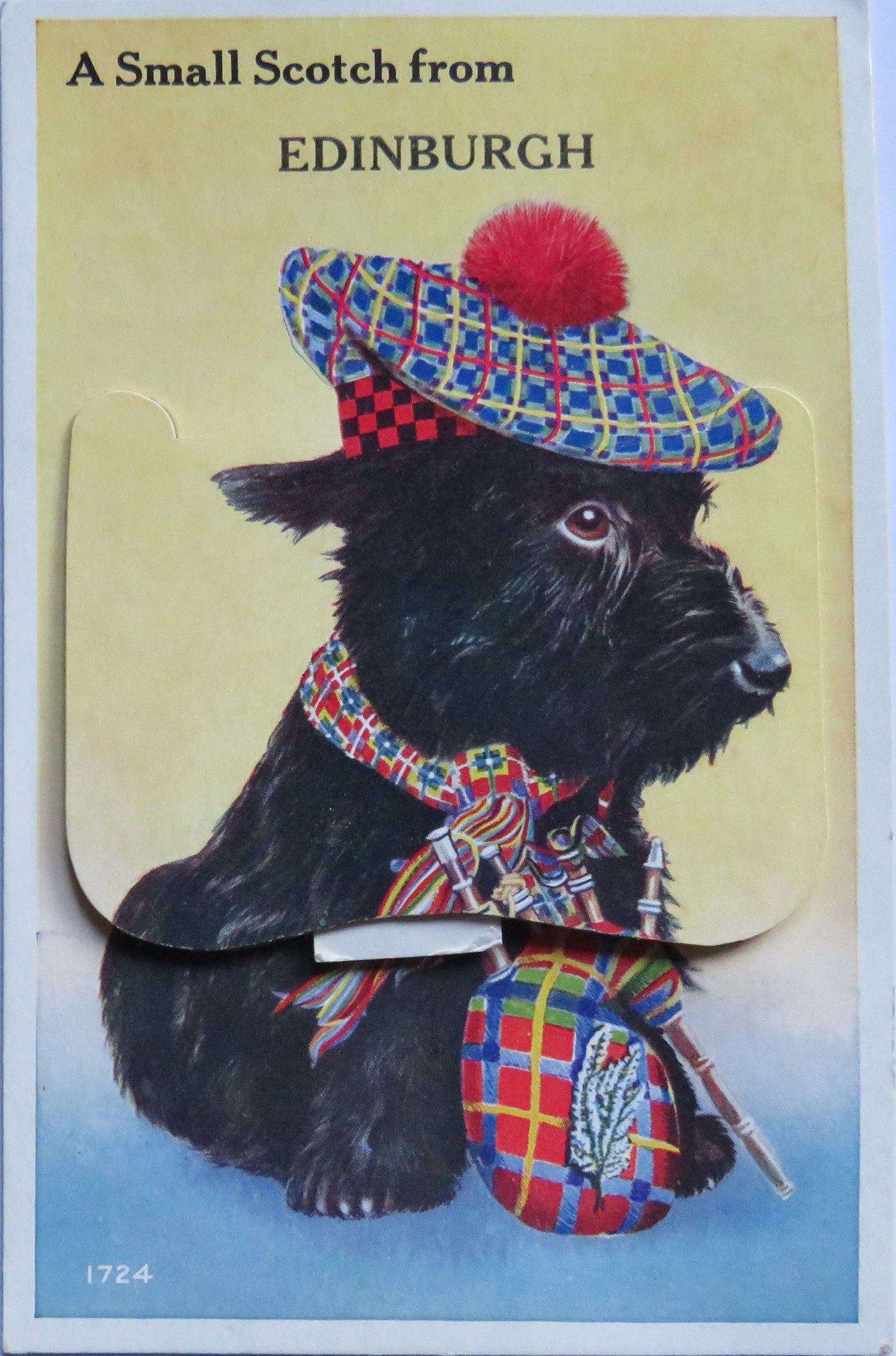 Vintage Postcard of A Small Scotch From Edinburgh With Pull Out Images