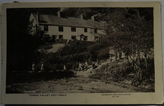 Vintage Postcard of Forge Valley Cottages