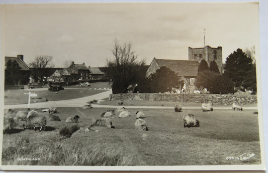 Vintage Postcard of Goathland