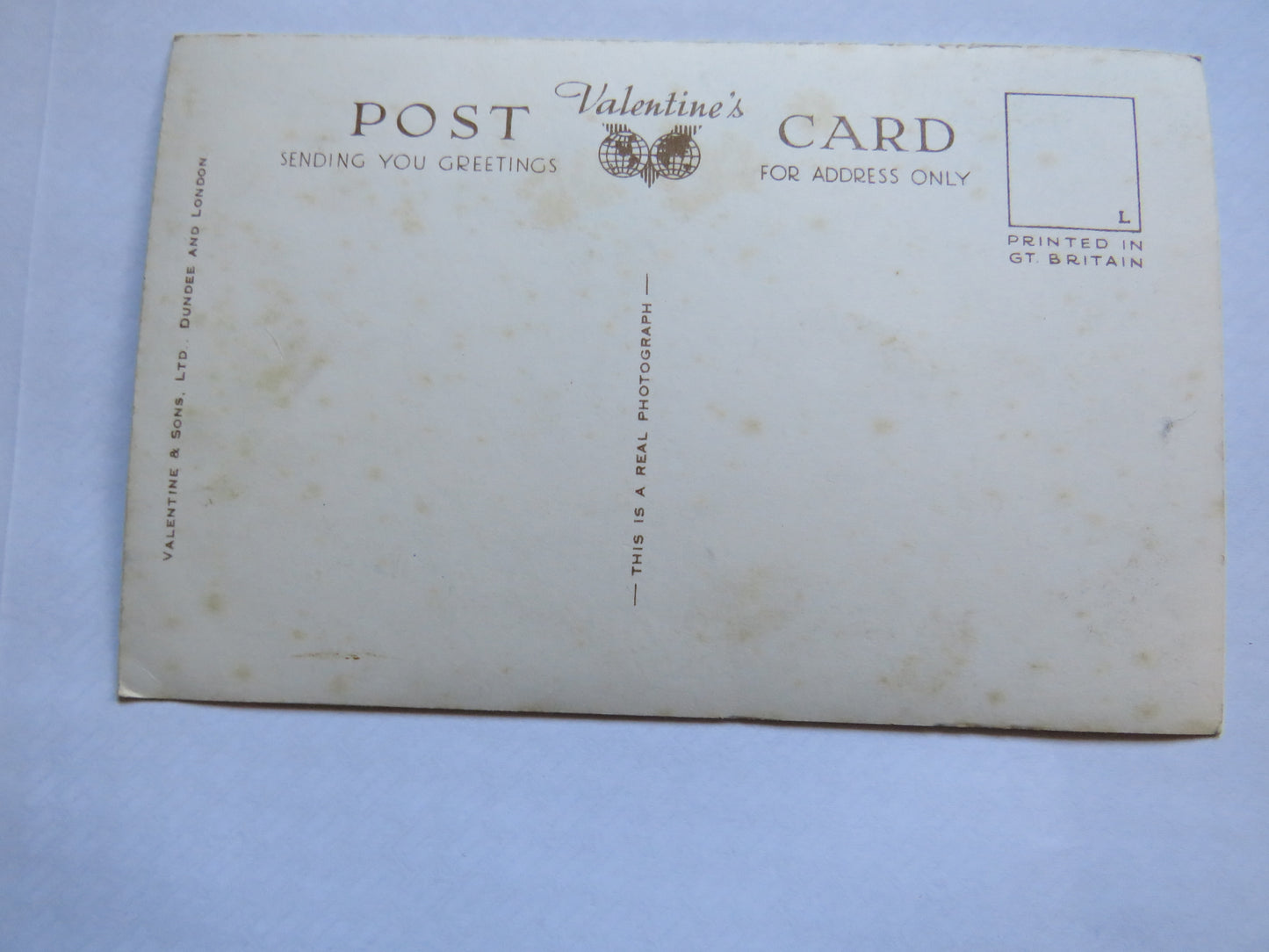 Vintage Postcard of Forth Vineyard, Kippen