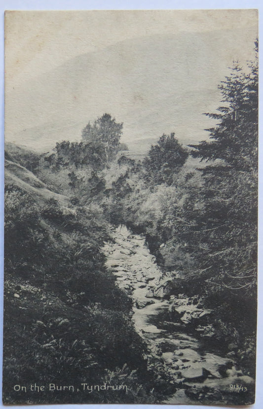 Vintage Postcard of On The Burn, Tyndrum