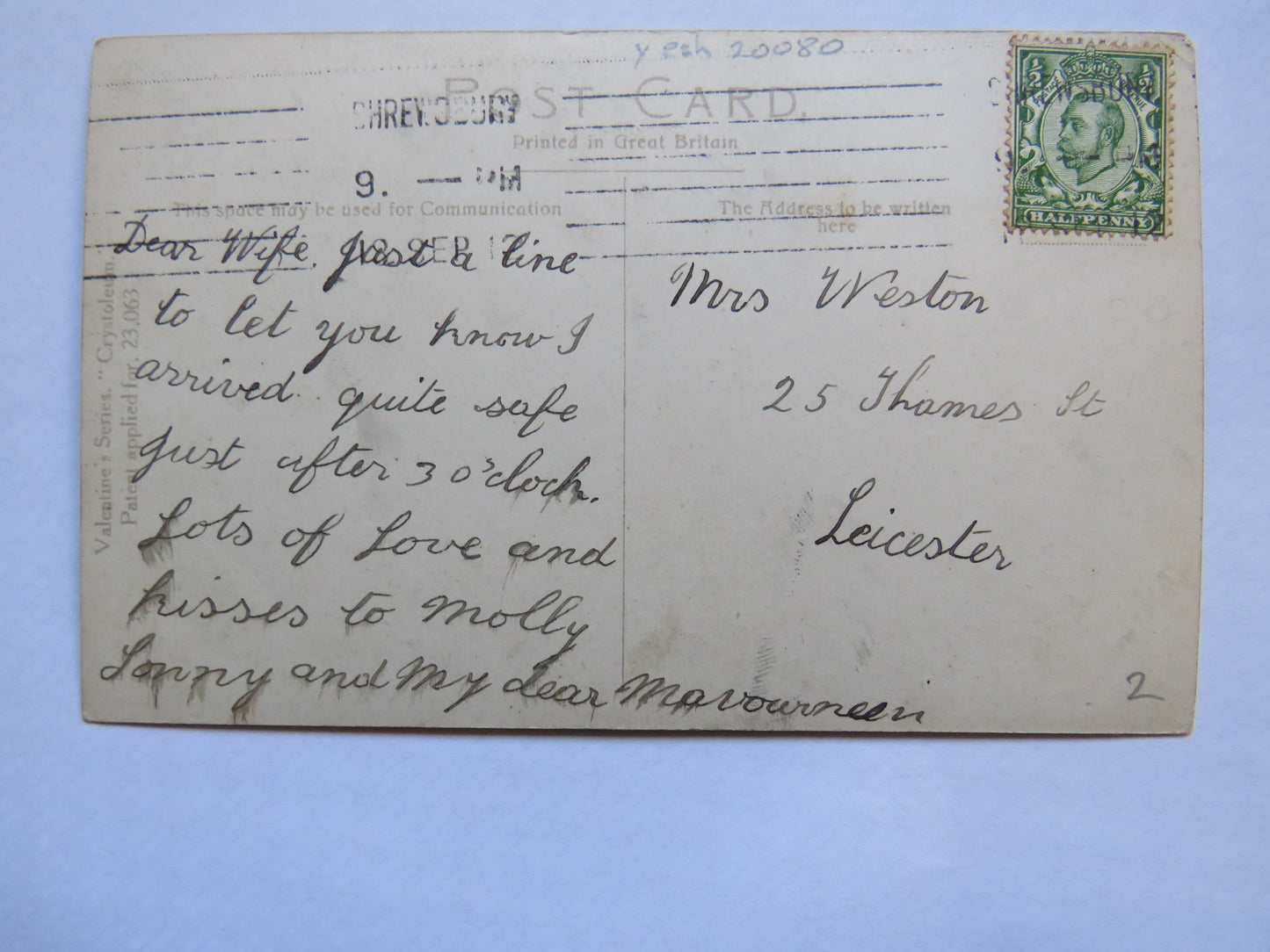 Vintage Postcard of Shrewsbury from Grammar School