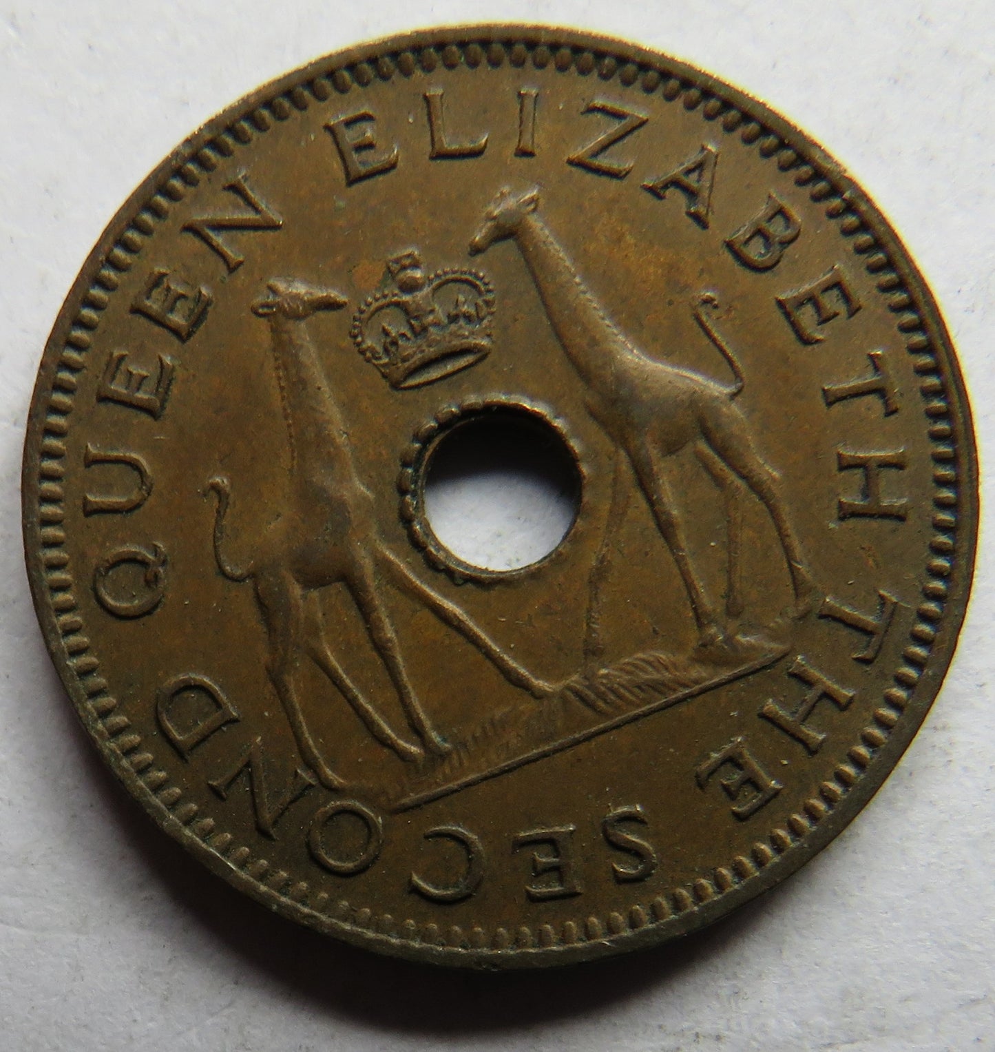 1958 Rhodesia and Nyasaland Half-Penny Coin