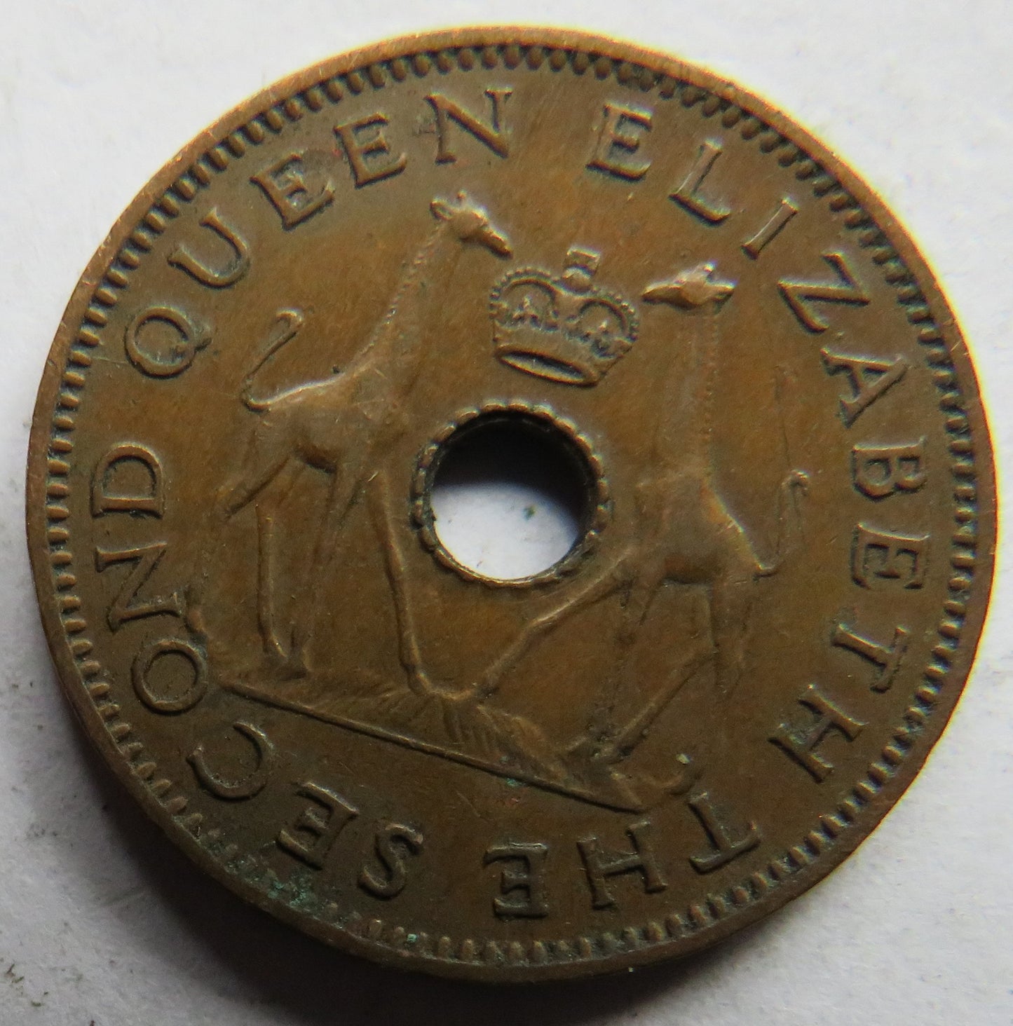 1958 Rhodesia and Nyasaland Half-Penny Coin