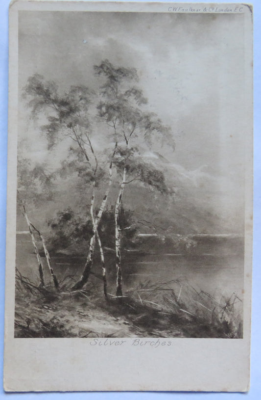 Vintage Postcard of Silver Birches