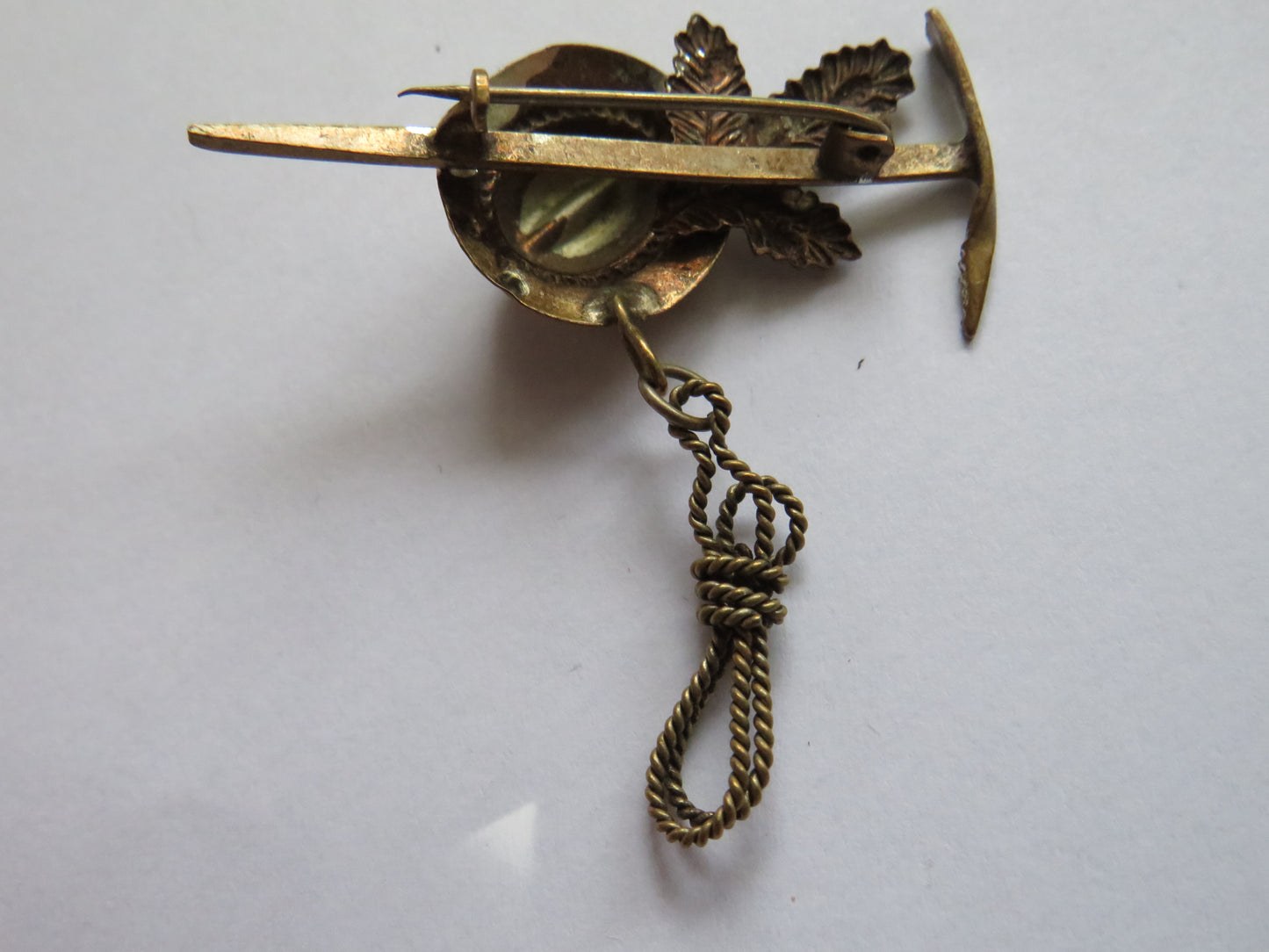 Vintage Souvenir Alpine Climbing Brooch / Badge Feldkirch Austria