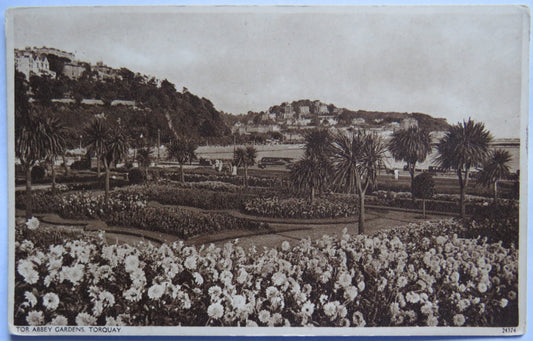 Vintage Postcard of Tor Abbey Gardens, Torquay