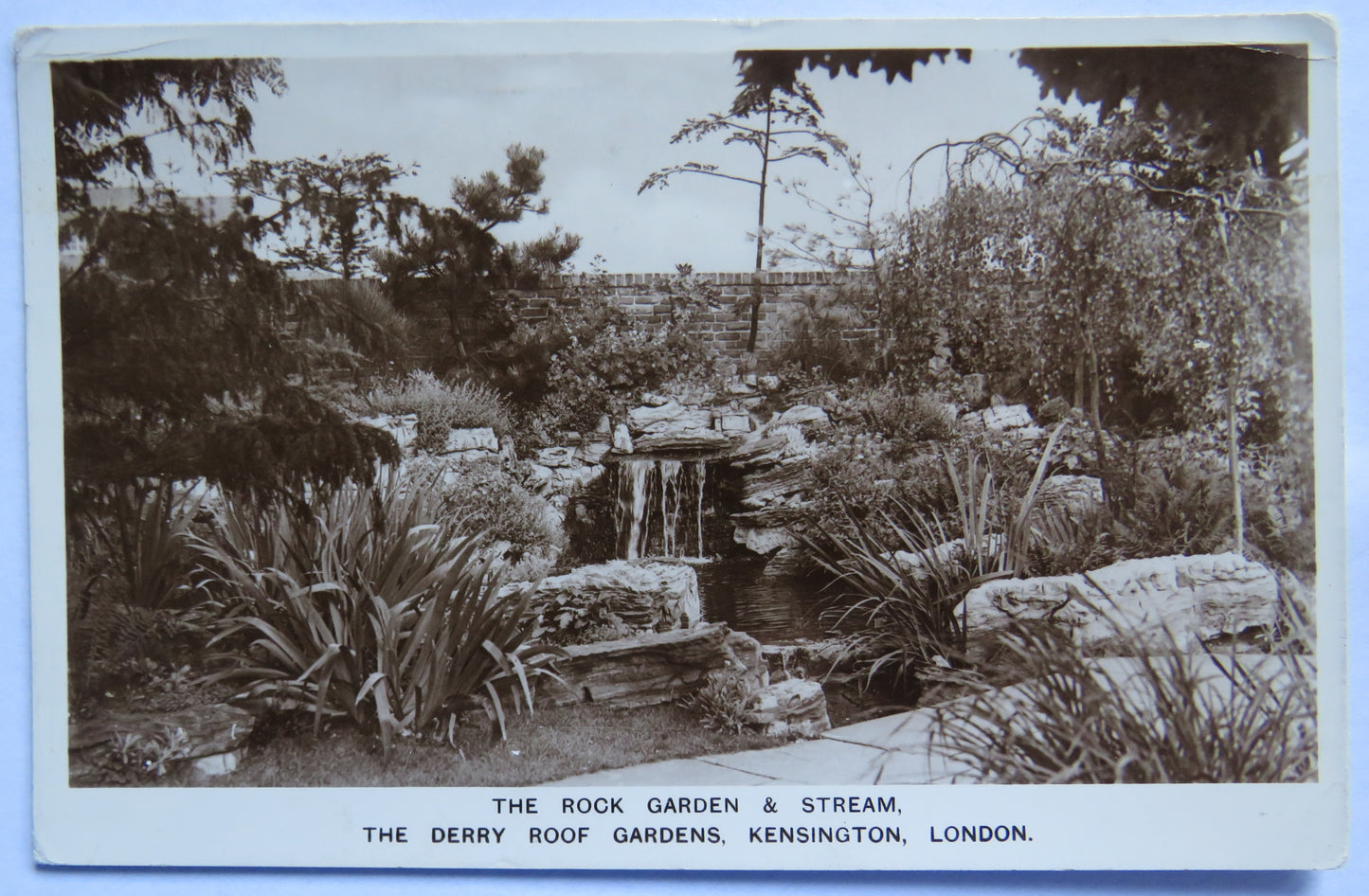 Vintage Postcard of The Rock Garden & Stream, The Derry Roof Gardens, Kensington, London