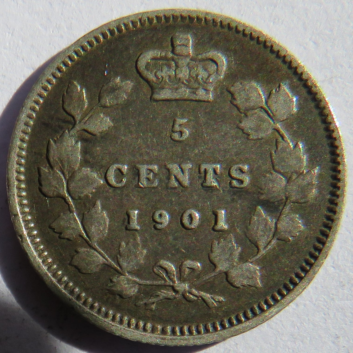 1901 Queen Victoria Canada Silver 5 Cents Coin
