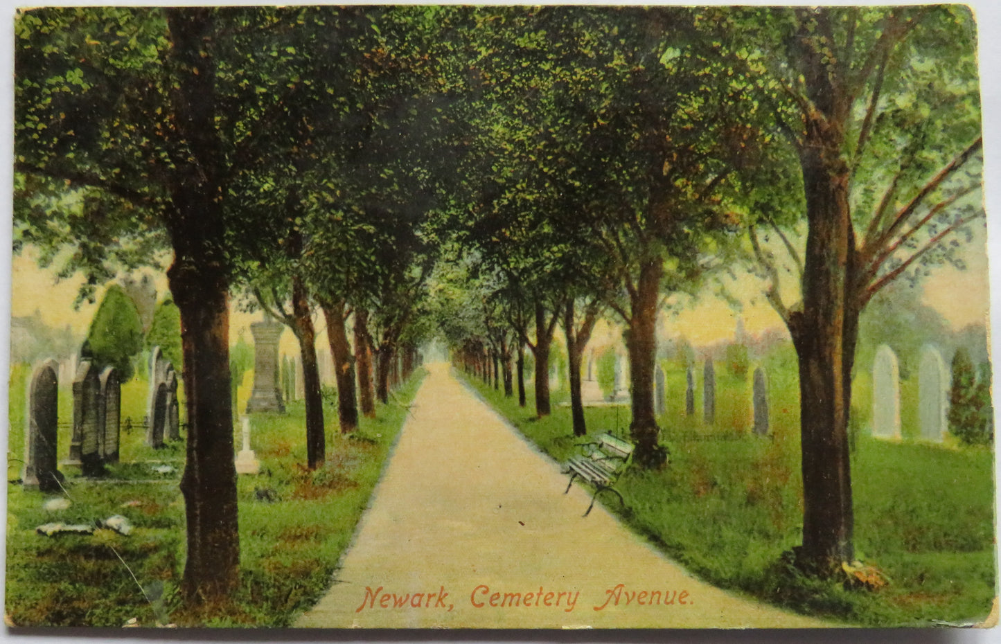 Vintage Postcard of Newark, Cemetery Avenue