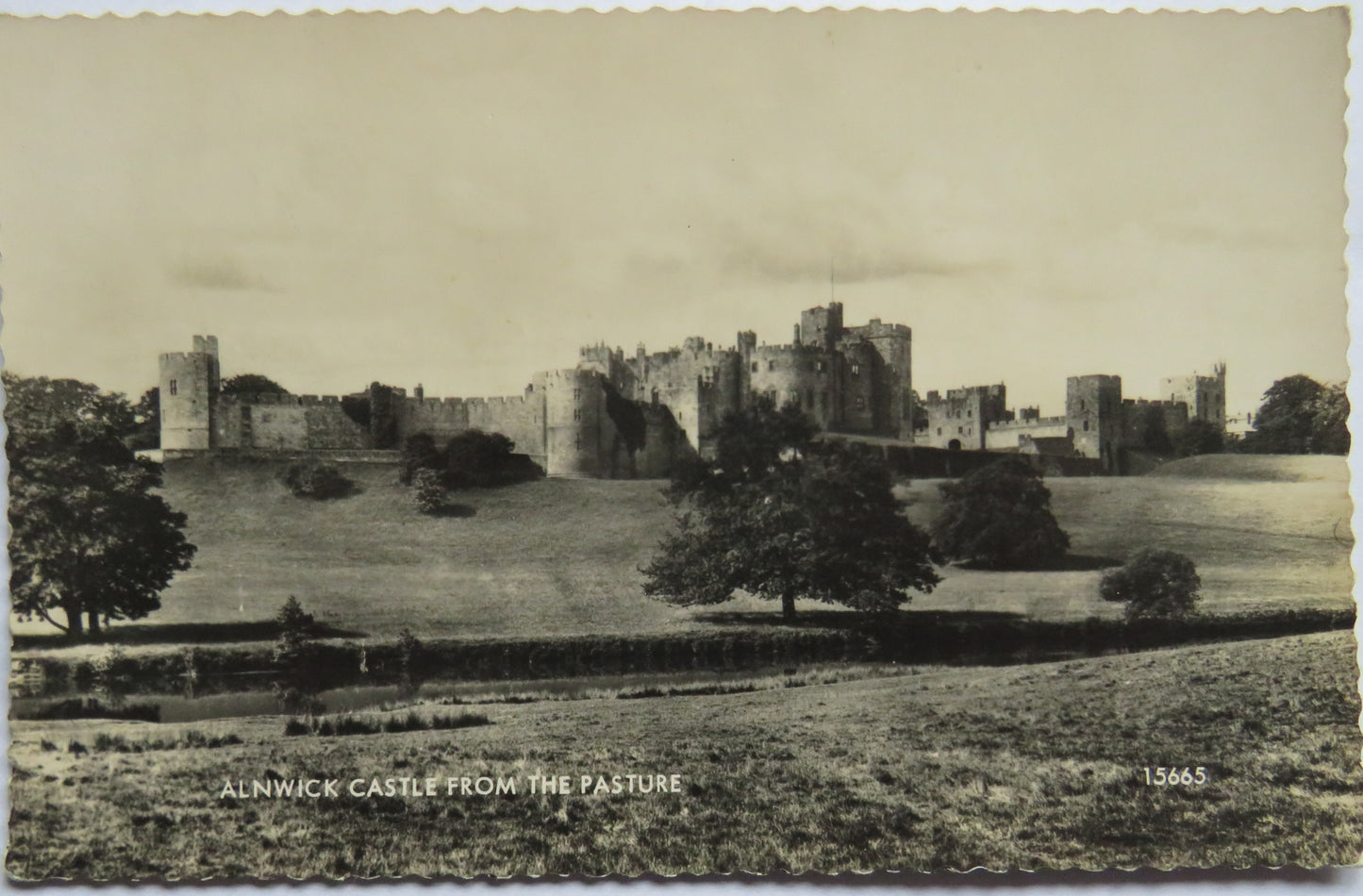 Vintage Postcard of Alnwick Castle From The Pasture