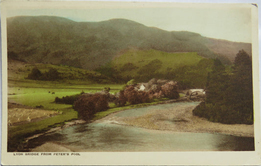 Vintage Postcard of Lyon Bridge From Peter's Pool