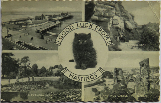 Vintage Postcard of Good Luck From Hastings 1960