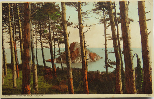 Vintage Postcard of The Pines & Thatcher Rock, Torquay