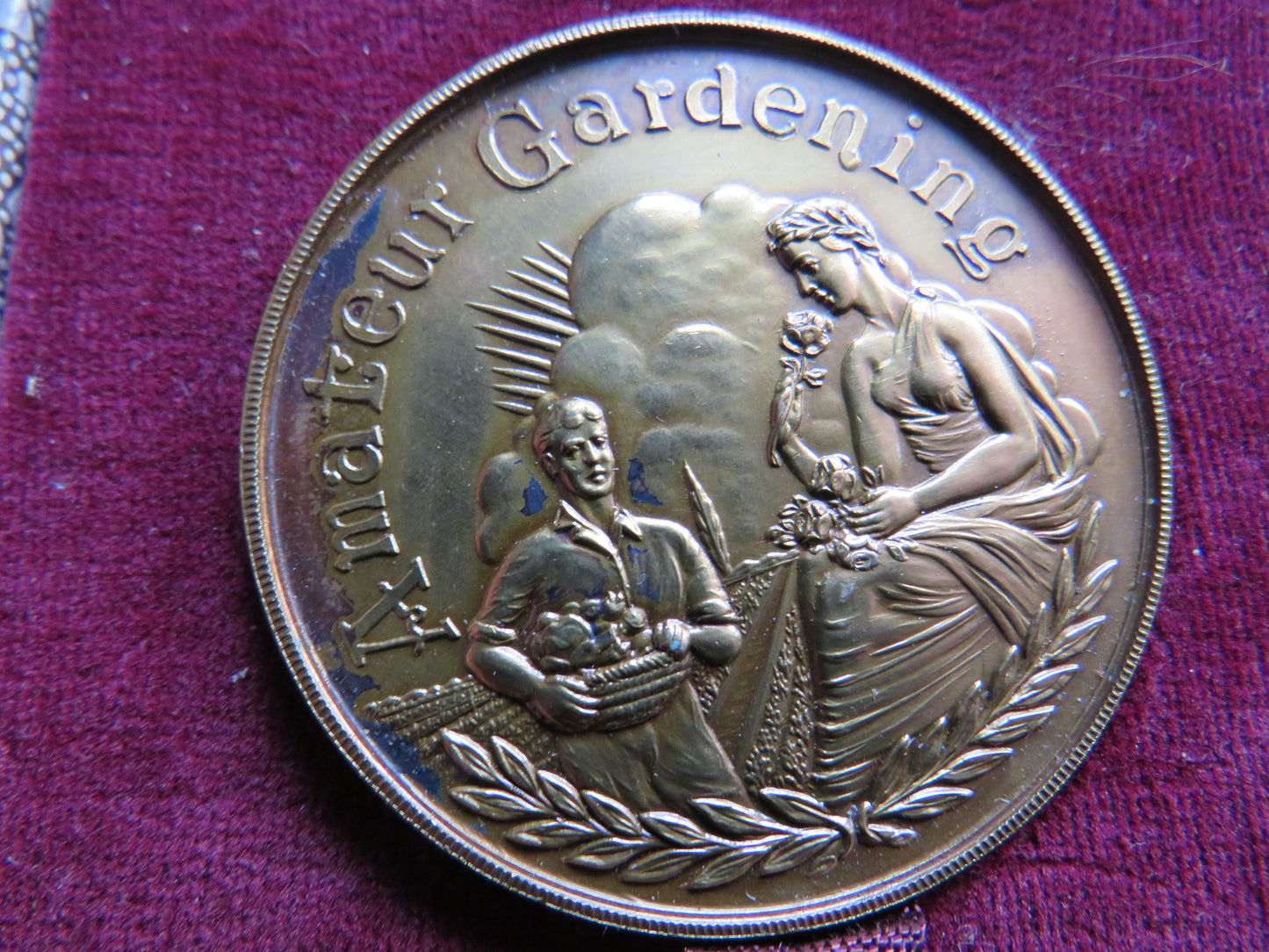 Vintage Amateur Gardening Medal Merit In Horticulture