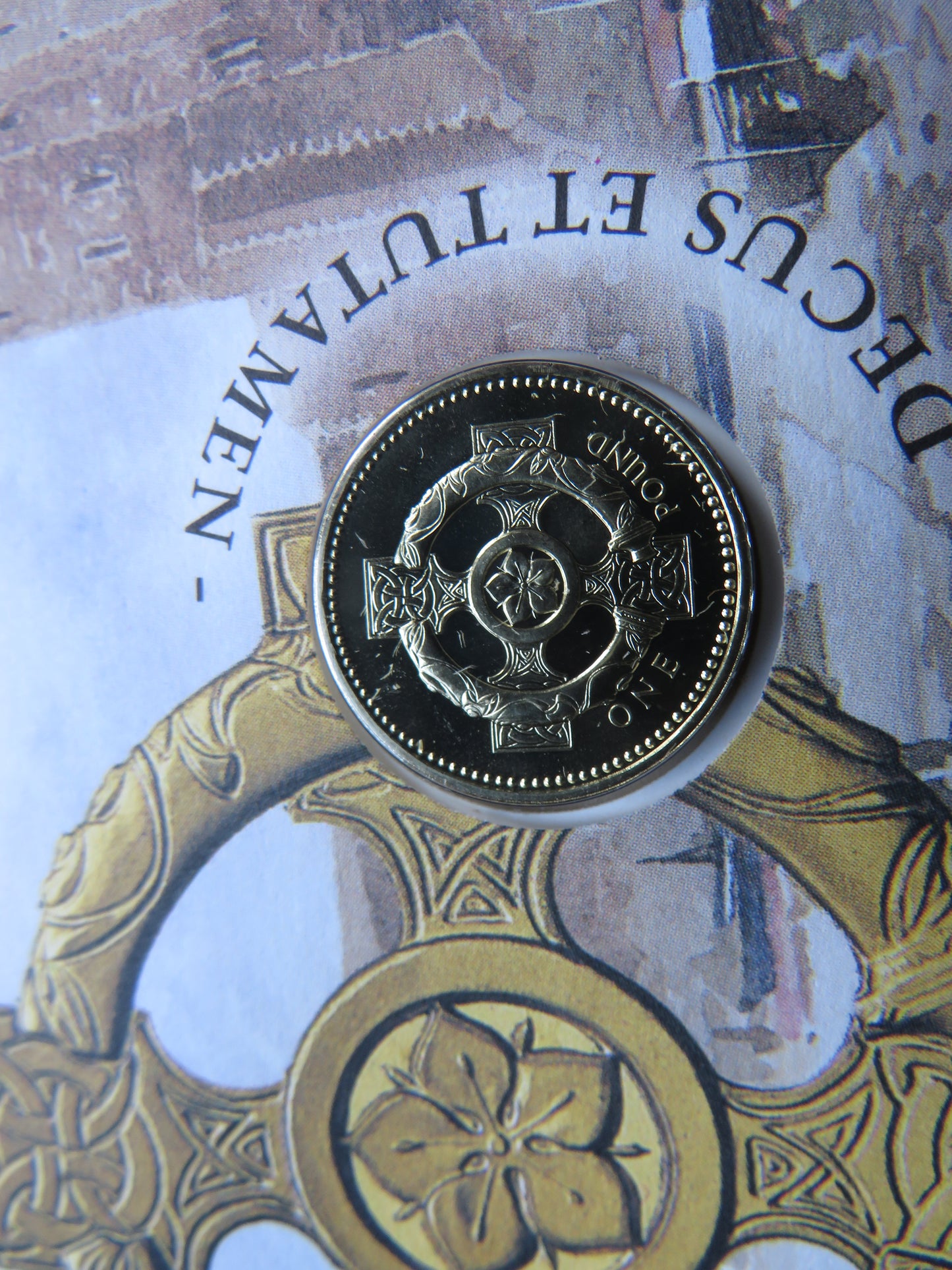 1996 The Northern Ireland £1 One Pound Coin & Stamp Cover
