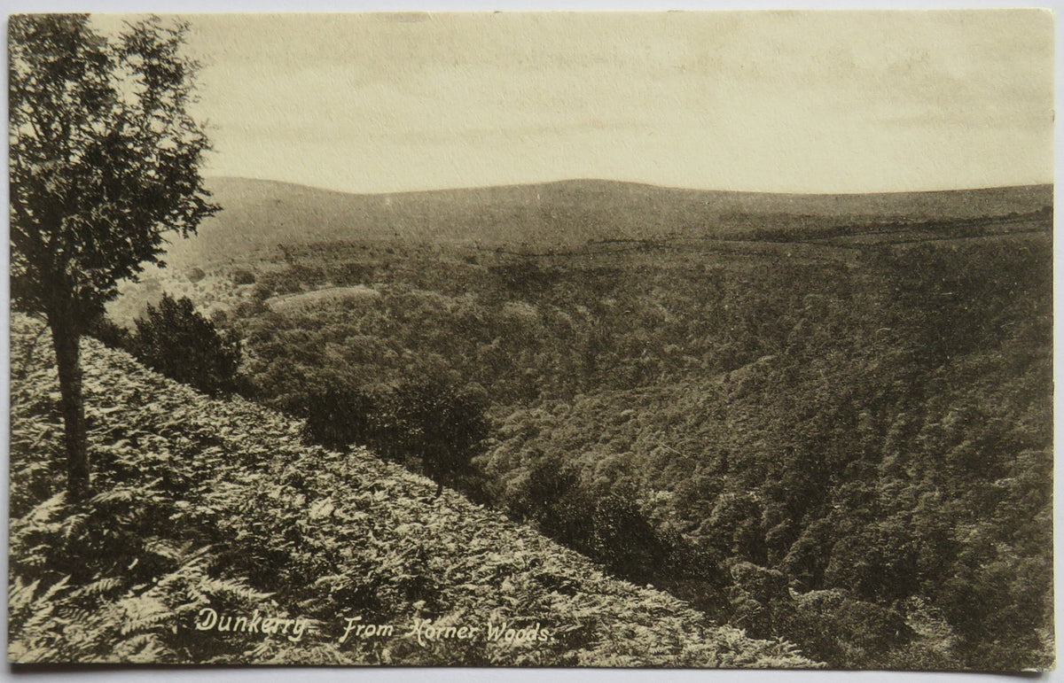 Vintage Postcard of Dunkerry from Horner Woods - F. Frith & Co.