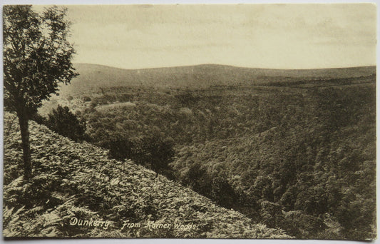 Vintage Postcard of Dunkerry from Horner Woods - F. Frith & Co.