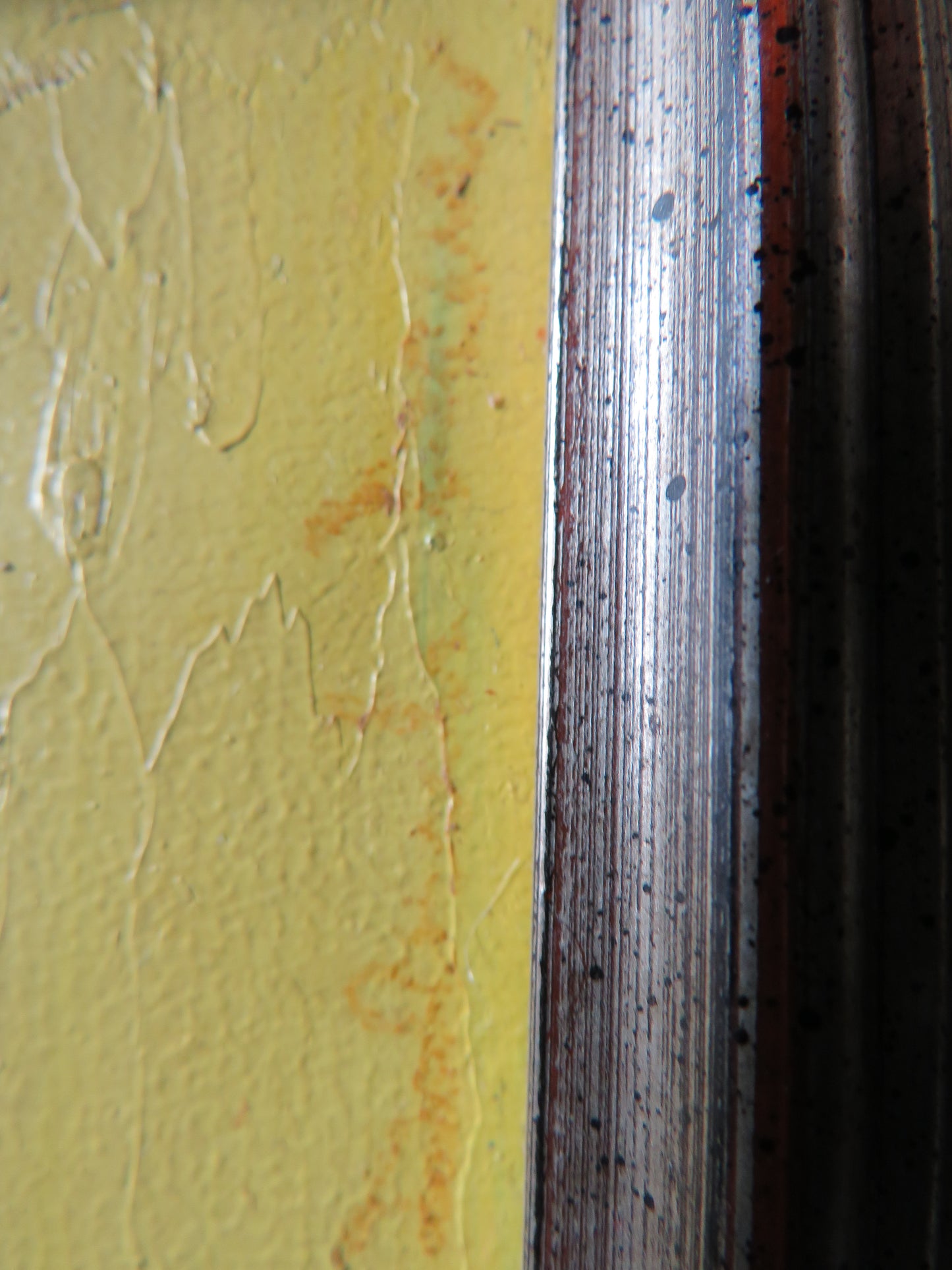 Framed Oil Painting of "Racing Camel" By Deborah Dewar 1987