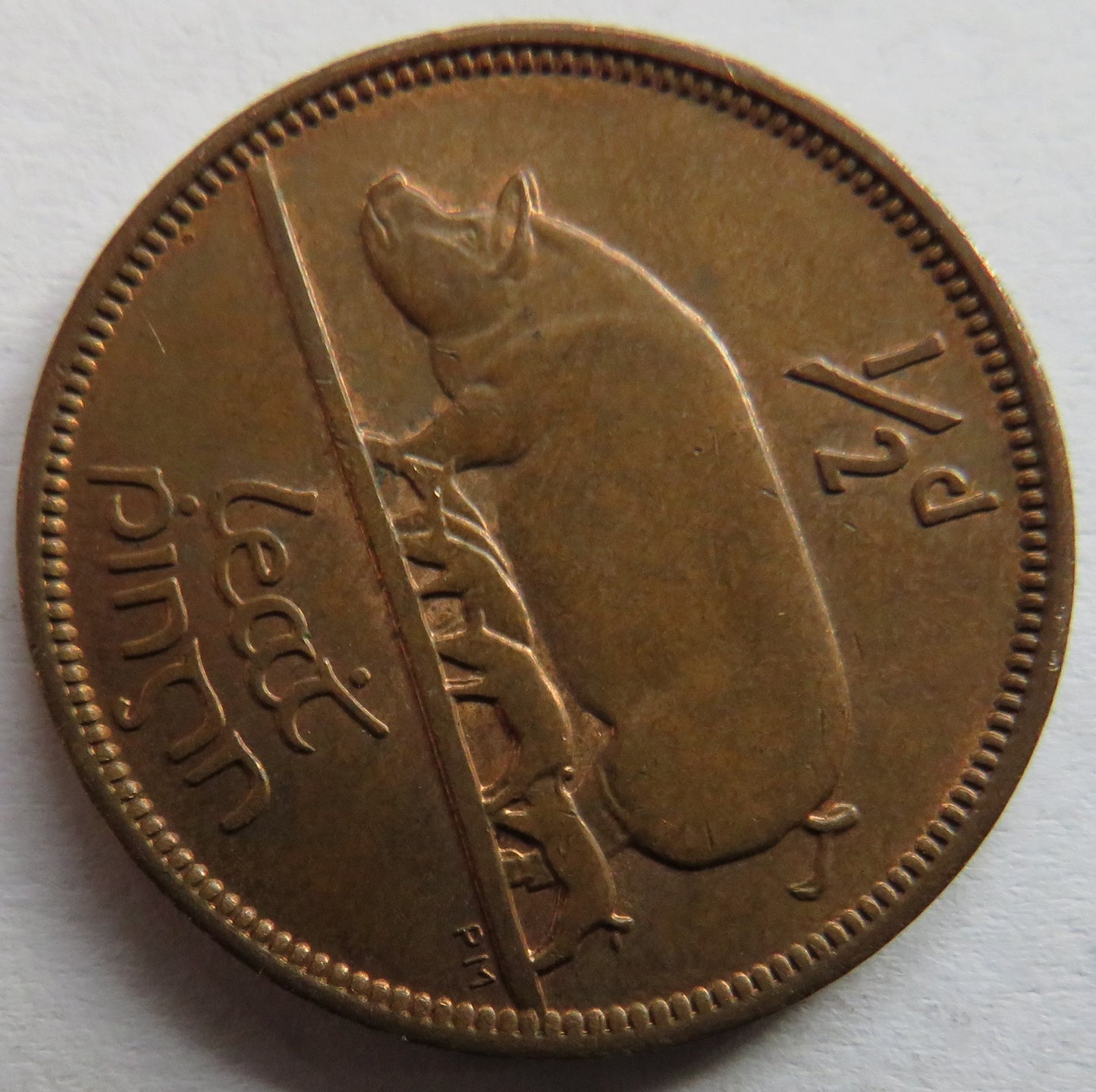 1967 Ireland Eire Halfpenny Coin In High Grade