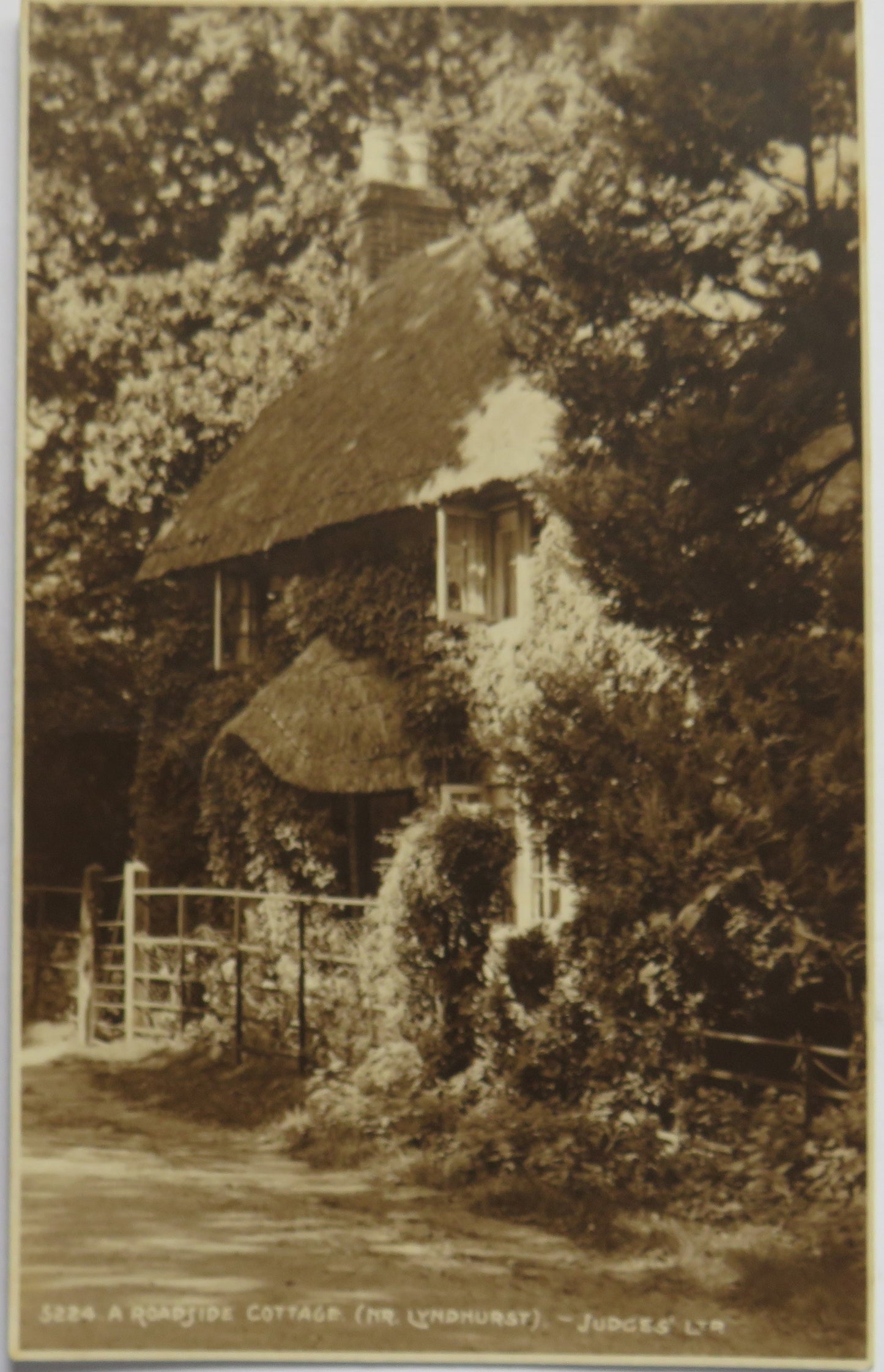 Vintage Postcard of A Roadside Cottage (Nr Lyndhurst)