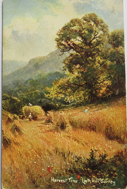 Vintage Postcard of Harvest Time Lieth Hill Surrey