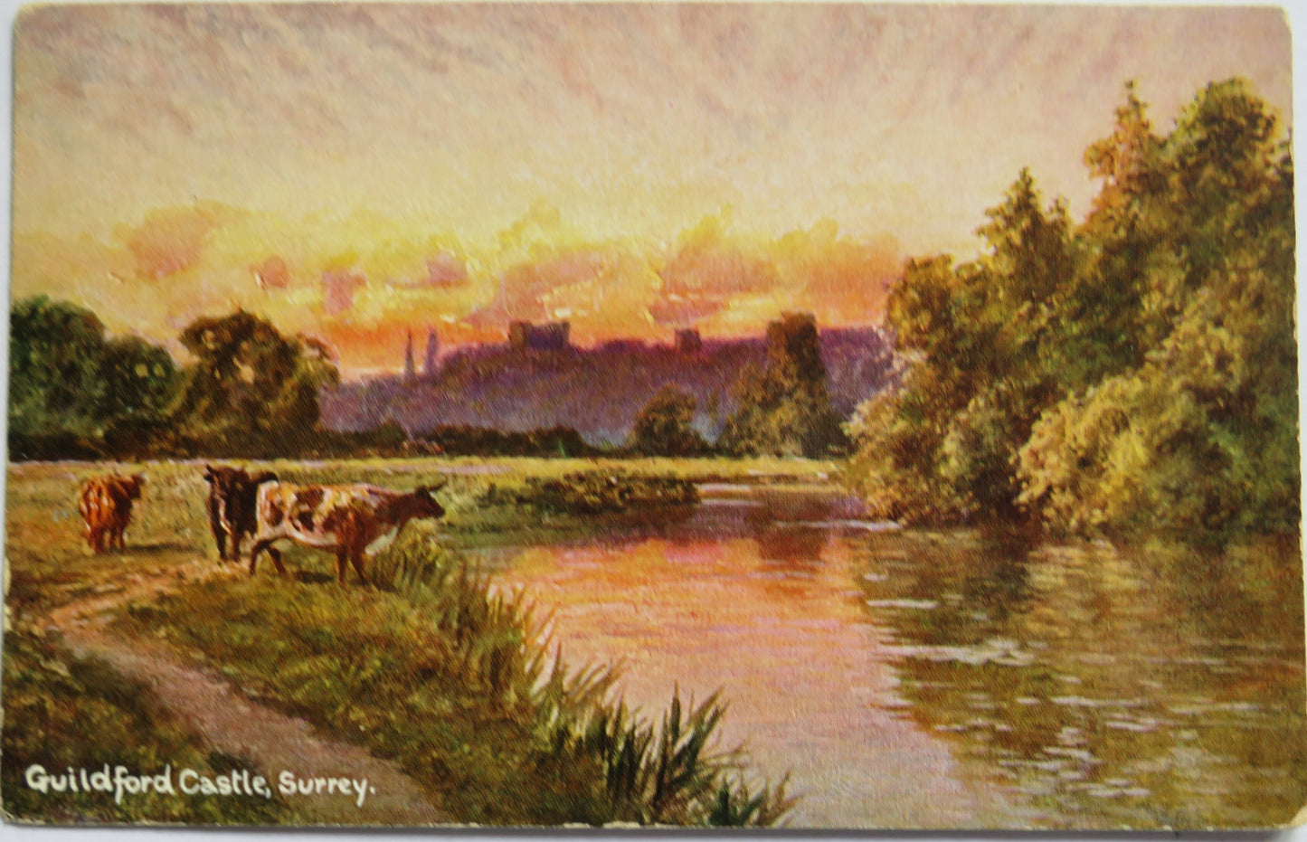 Vintage Postcard of Guildford Castle Surrey