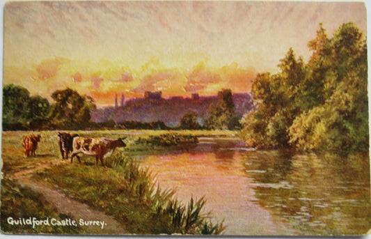 Vintage Postcard of Guildford Castle Surrey