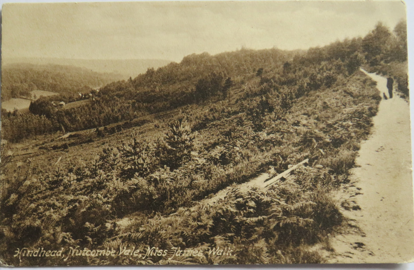 Vintage Postcard of Hindhead Nutcombe Valley Miss James Walk