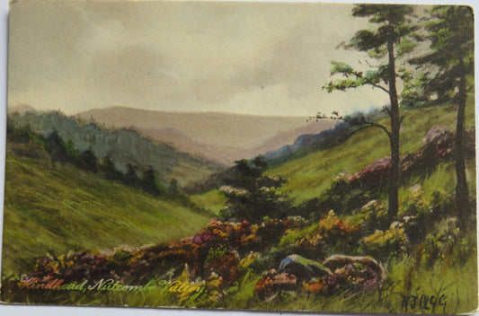 Vintage Postcard of Hindhead Nutcombe Valley