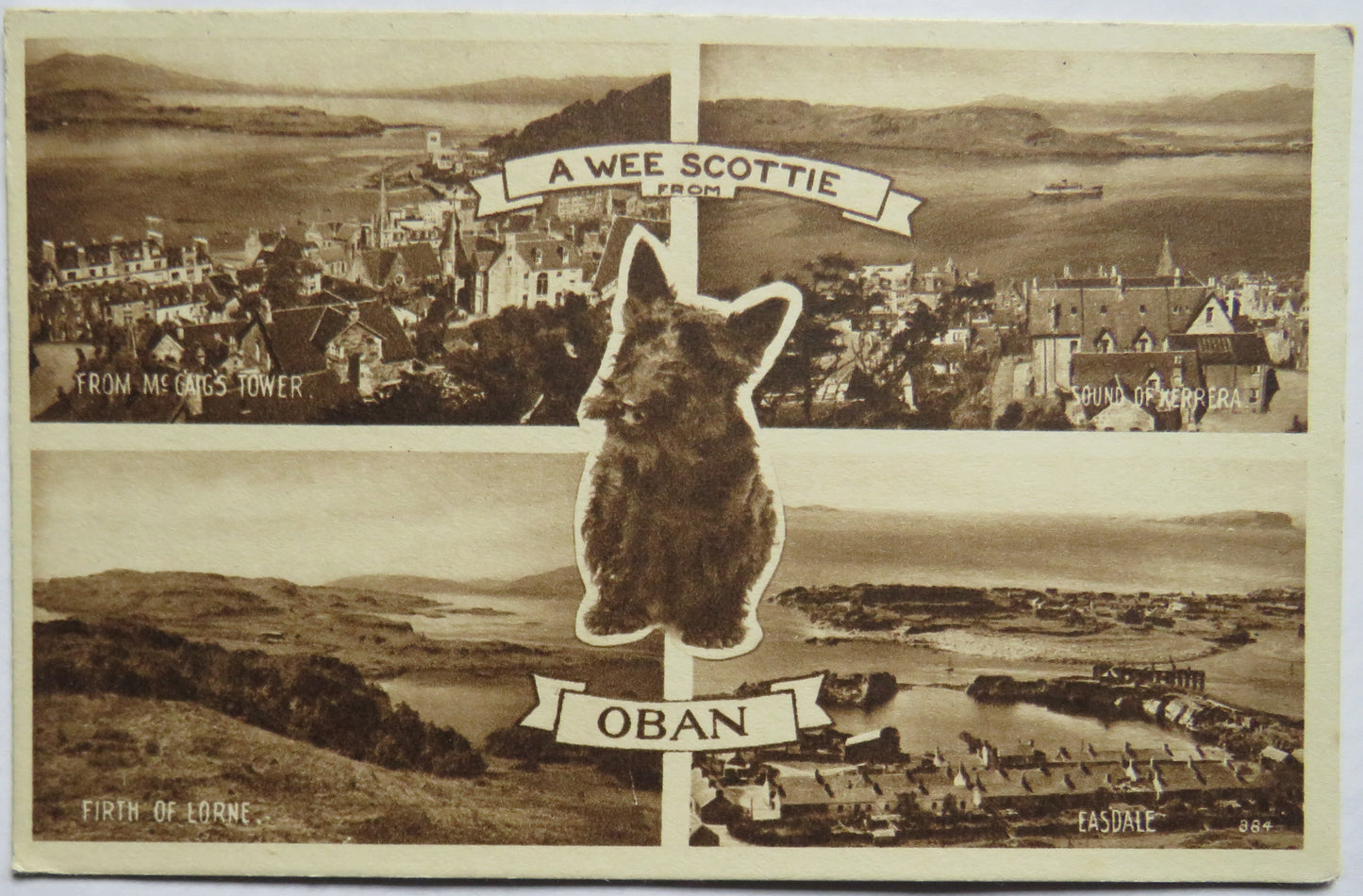 Vintage Postcard of A Wee Scottie, Oban, Multiview Postcard