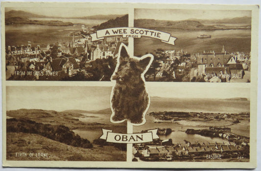 Vintage Postcard of A Wee Scottie, Oban, Multiview Postcard