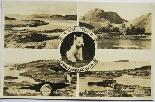 Vintage Postcard of A Wee Scottish Frae Easdale Argyll
