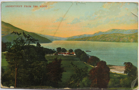 Vintage Postcard of Ardentinny From The Wood