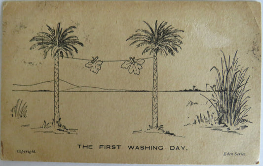 Vintage Postcard of "The Washing Day" Eden Series 1905