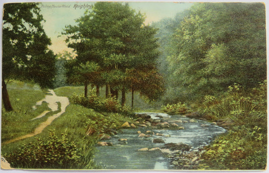 Vintage Postcard of Holmehouse Wood, Keighley 1906